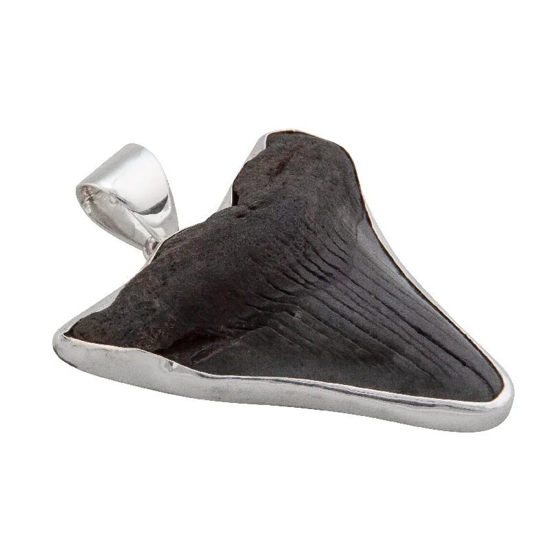 Sterling Silver Fossil Shark Tooth Pendant